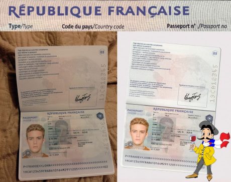 France Passport